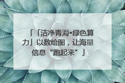 「洁净青海•绿色算力」以数绘图，让海量信息“跑起来”